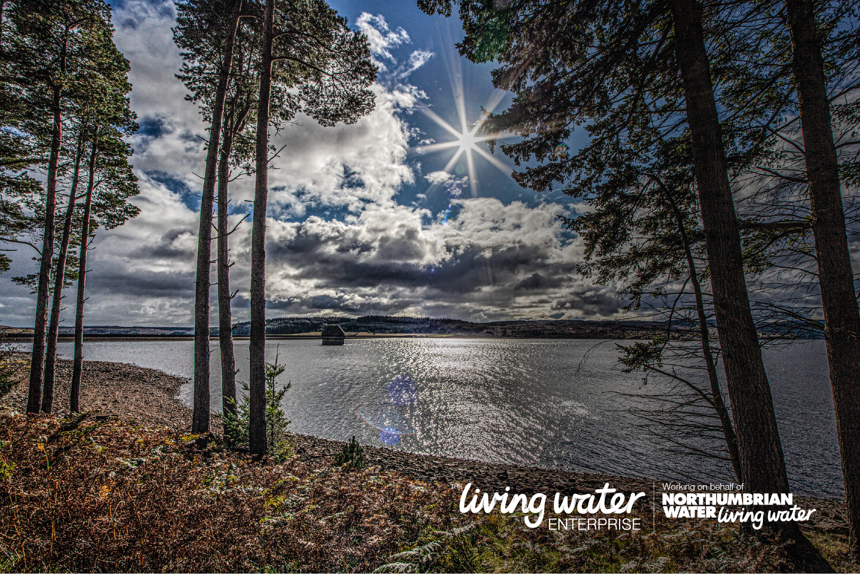 Kielder reservoir and forest