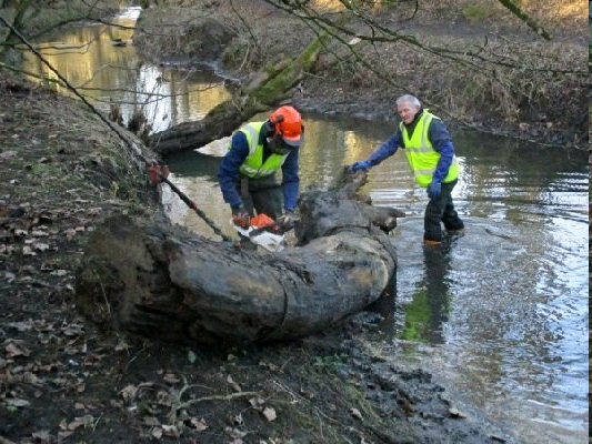 Holywell Dene 2.png