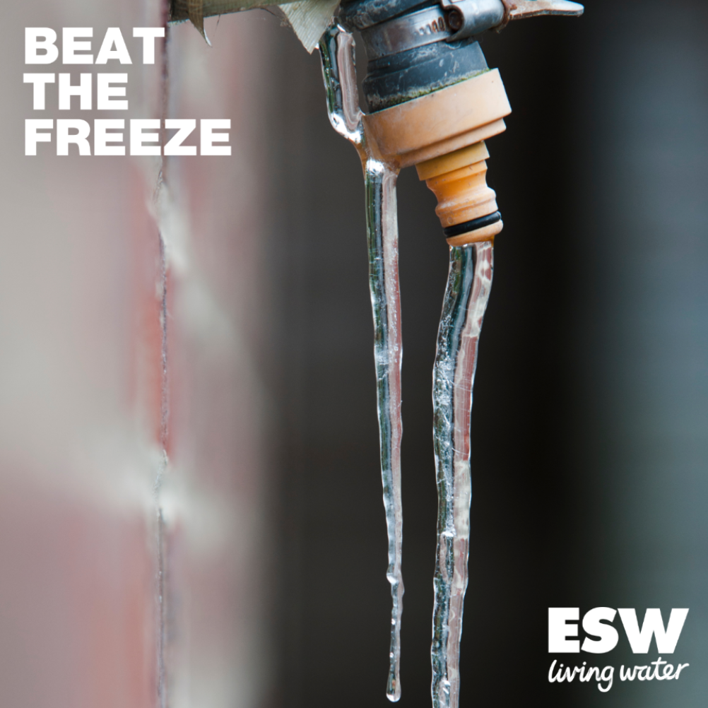 Beat the freeze - ESW image.png