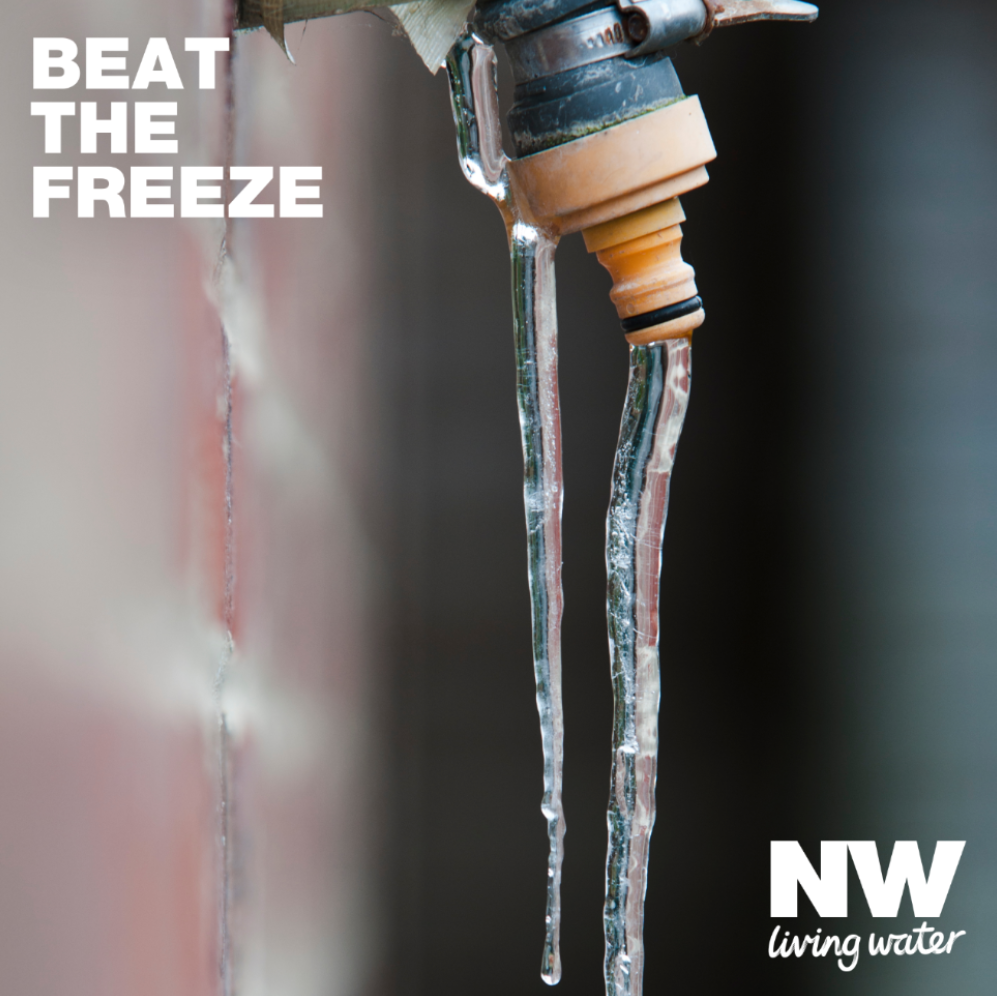Beat the freeze - NW image.png