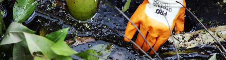 Gloved hand removing debris from river