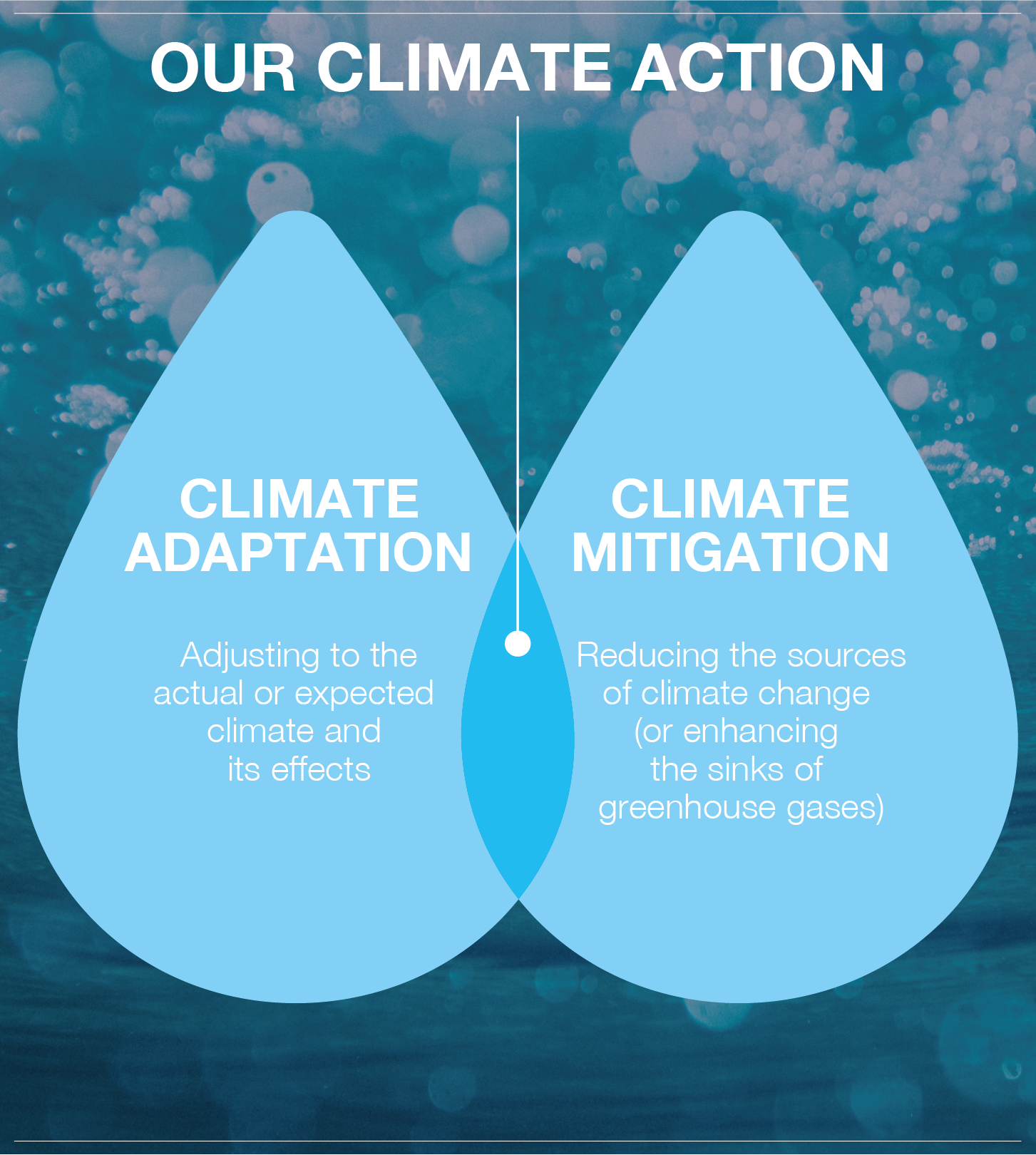 Climate action-01.png