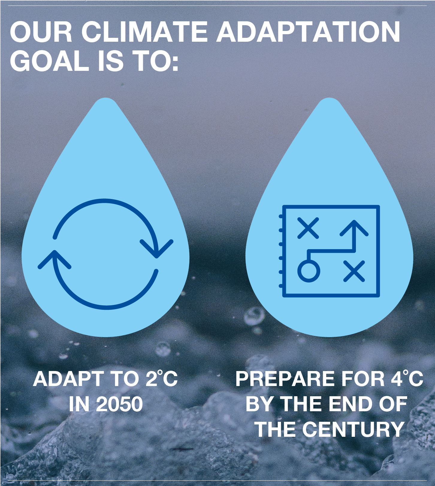 Climate adaptation goal-01.png