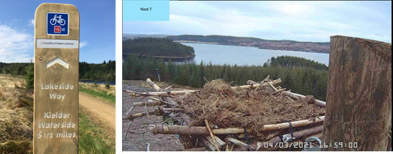 Kielder - Env Imp - Project.png