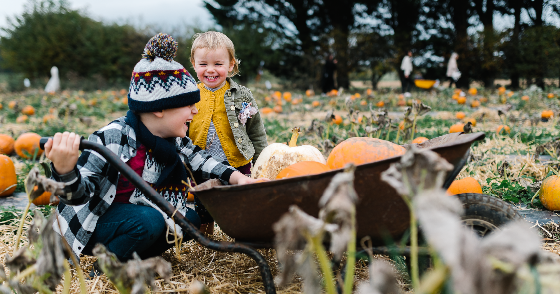 pumpkin picking