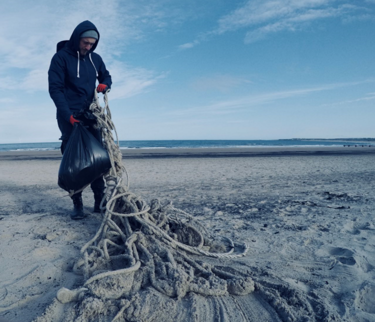 Ben Gilbert - beach clean.png