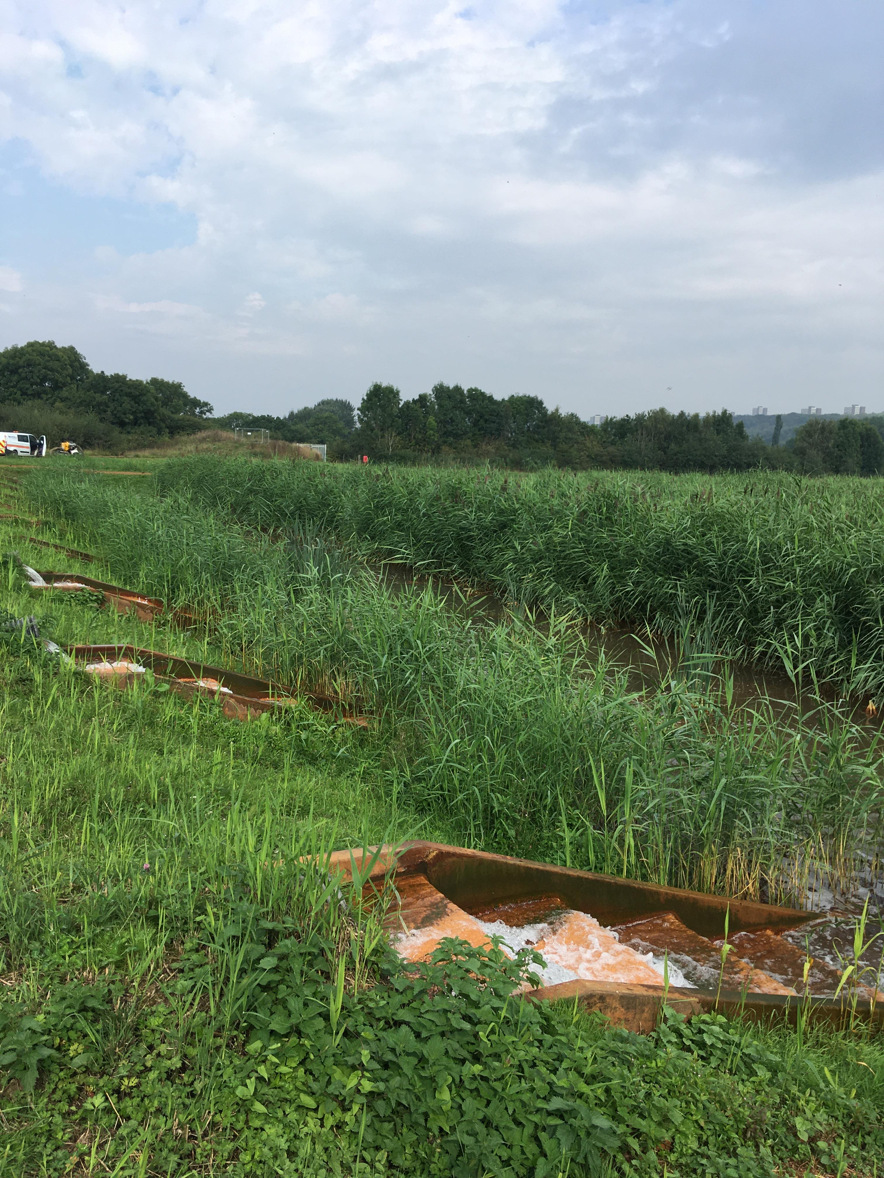 Birtley Reed Beds post work.JPG