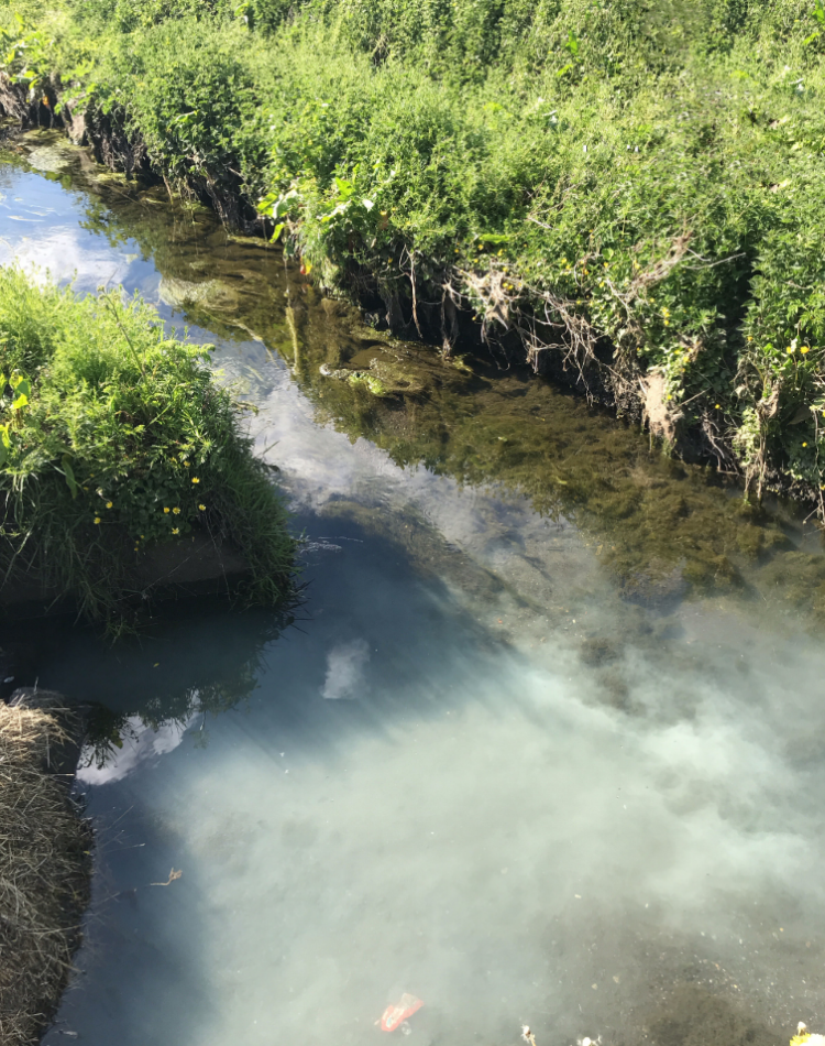 Discoloured water at outfall.png