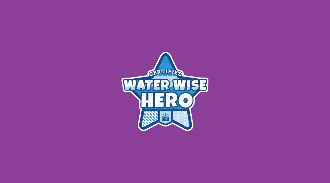 Water Wise Badge