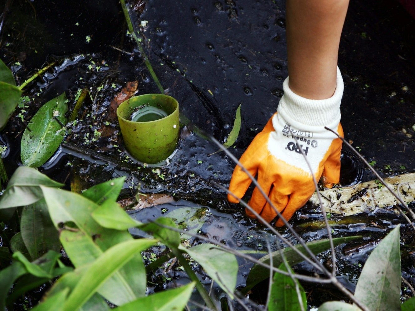 Gloved hand removing debris from river