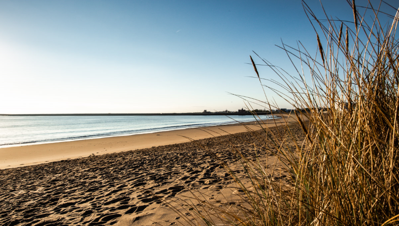 beach