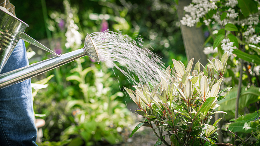 Essex & Suffolk Water work with local businesses to protect water supplies