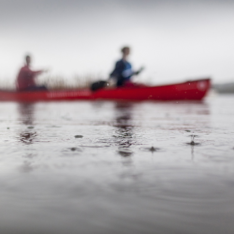 people kayaking in water