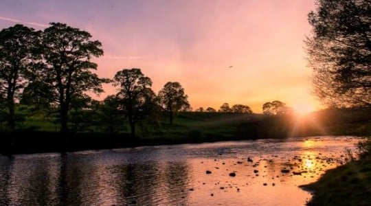 The River Tees