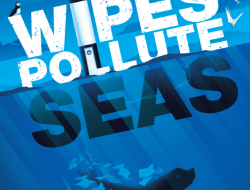 Bin the Wipe - Wipes Pollute Seas - leaflet